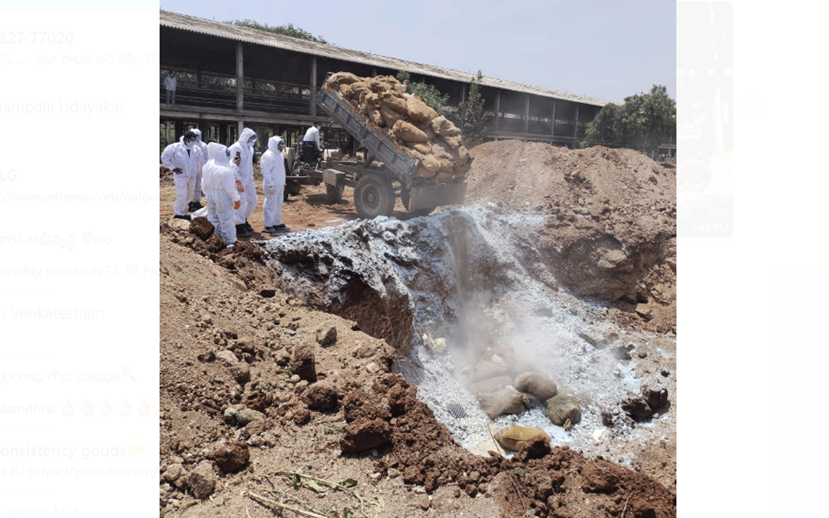 Bird flu : ధోతిగూడెంలో బ‌ర్డ్ ఫ్లూ కేసు న‌మోదు.. రంగంలోకి జిల్లా యంత్రాంగం