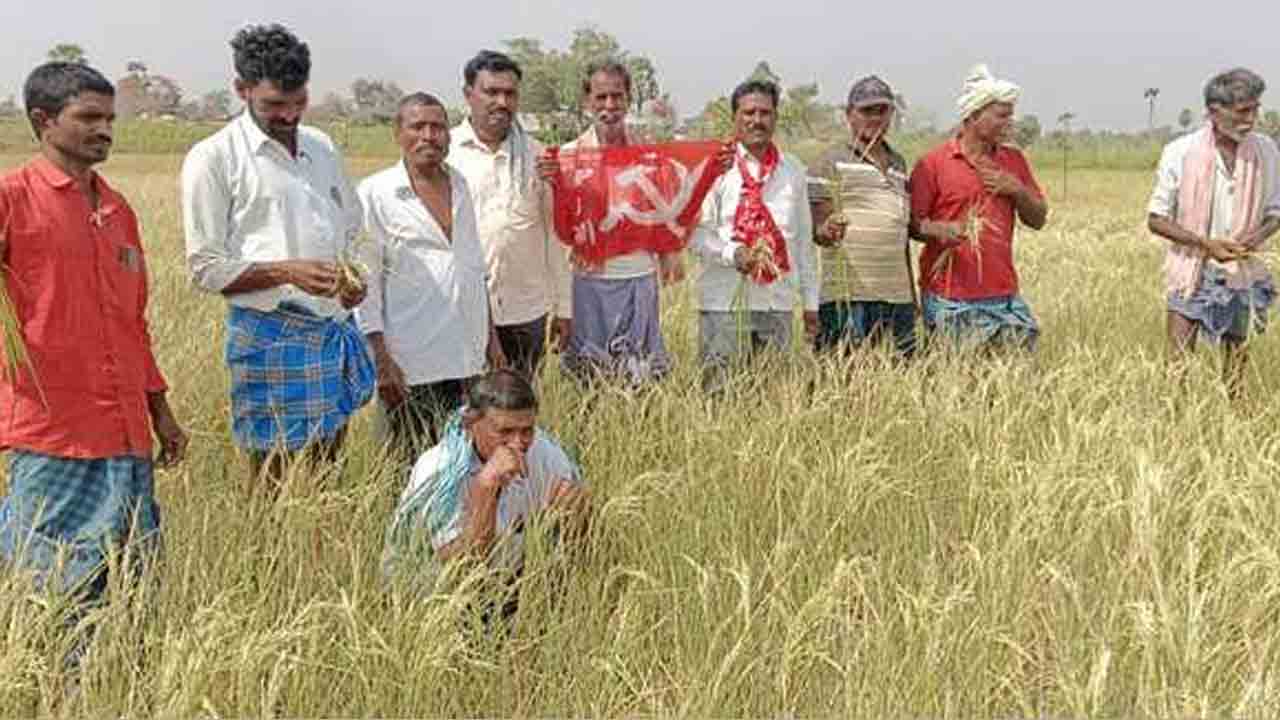 Dry Crops | ప్రభుత్వం ఎండిన పొలాలకు నష్టపరిహారం చెల్లించాలి.. సీపీఎం డిమాండ్‌