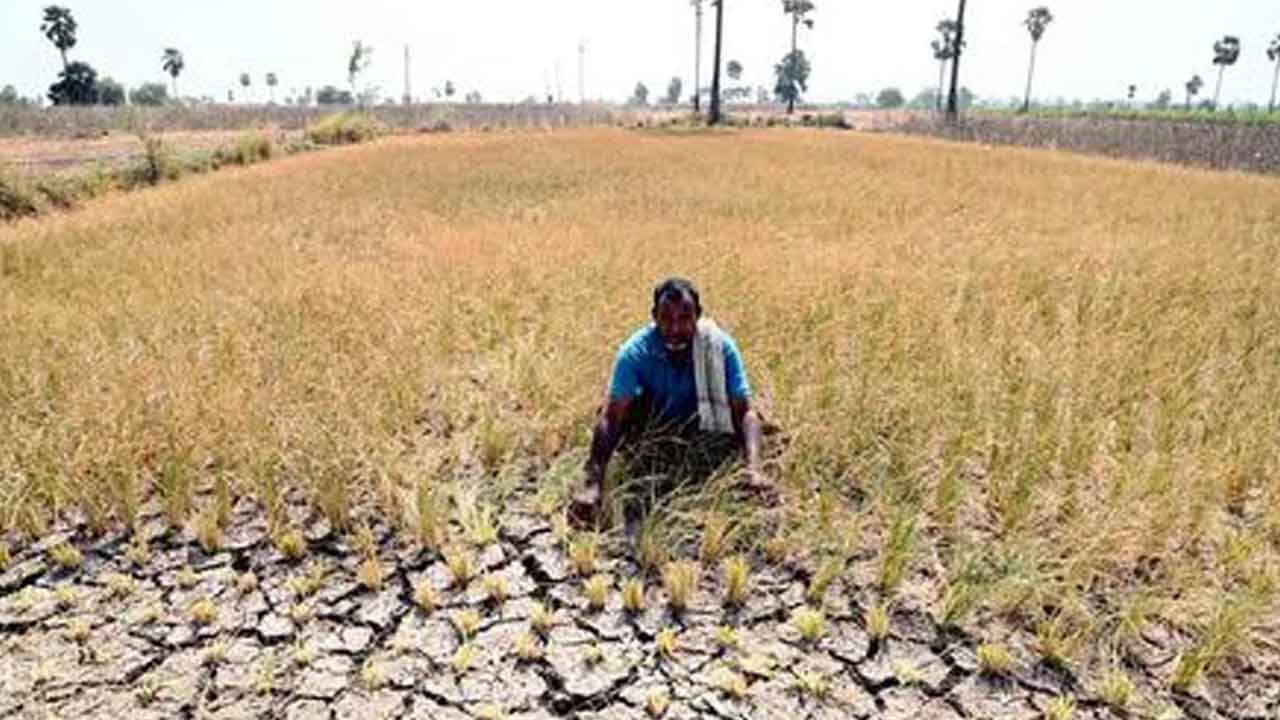 రేవంత్‌ శాపం.. రైతుల శోకం