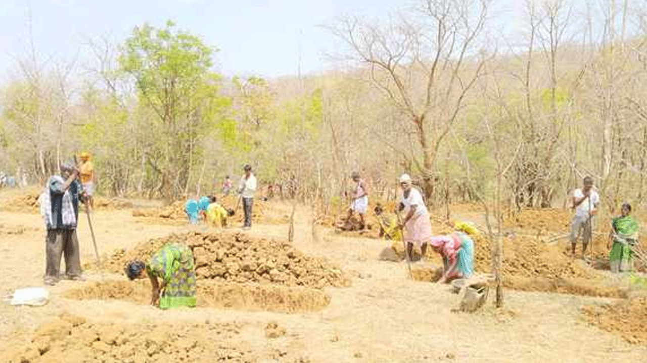 Employment Guarantee | బాన్సువాడ మండలంలో ఊపందుకున్న ఉపాధి హామీ పనులు