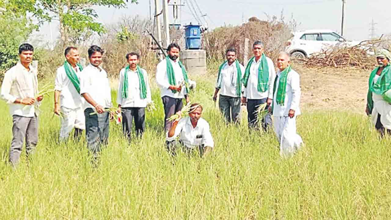 ఎకరాకు రూ. 30వేల పరిహారం చెల్లించాలి