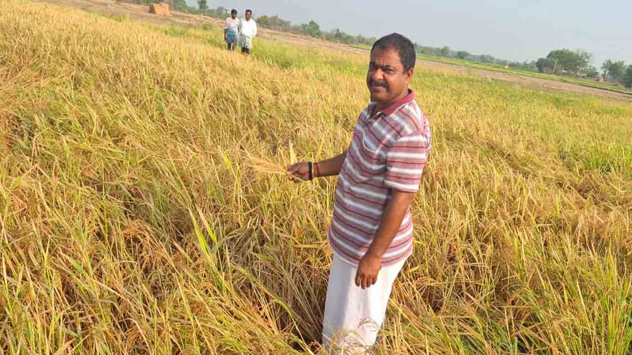 అకాల వర్షం.. అపార నష్టం