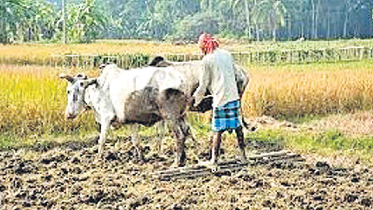 Telangana | రుణమాఫీపై మాటతప్పిన సర్కారు.. అన్నదాత కుతకుత!