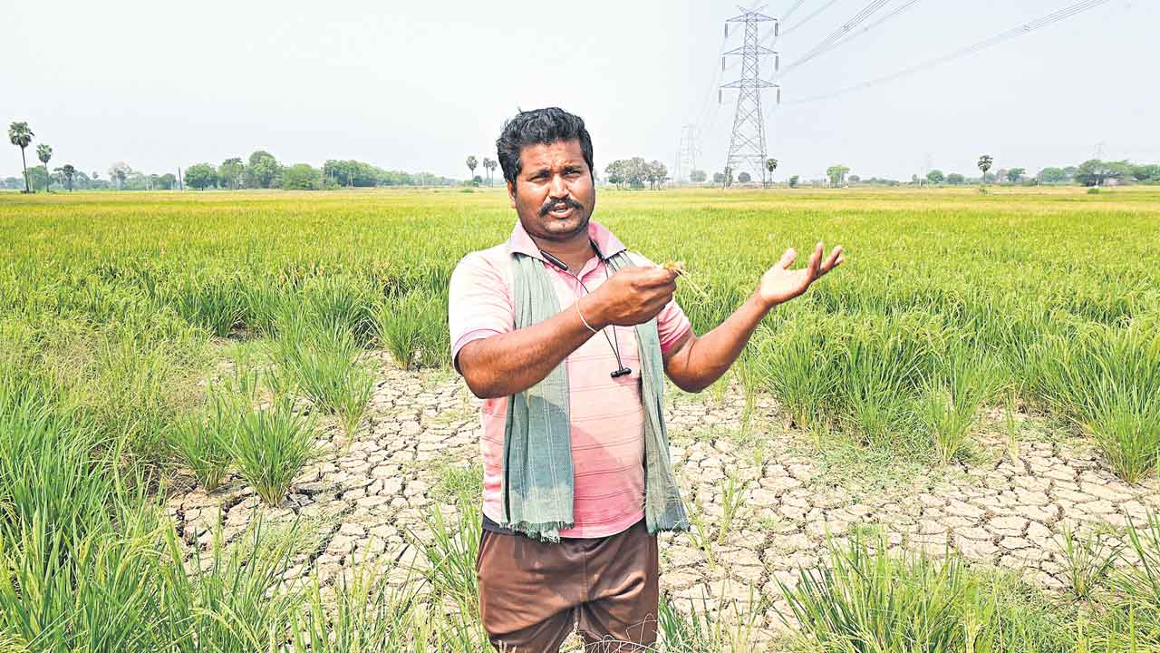 కోదాడ! ఏదీ నీళ్ల జాడ.. పొలమంతా పొక్కిలి..