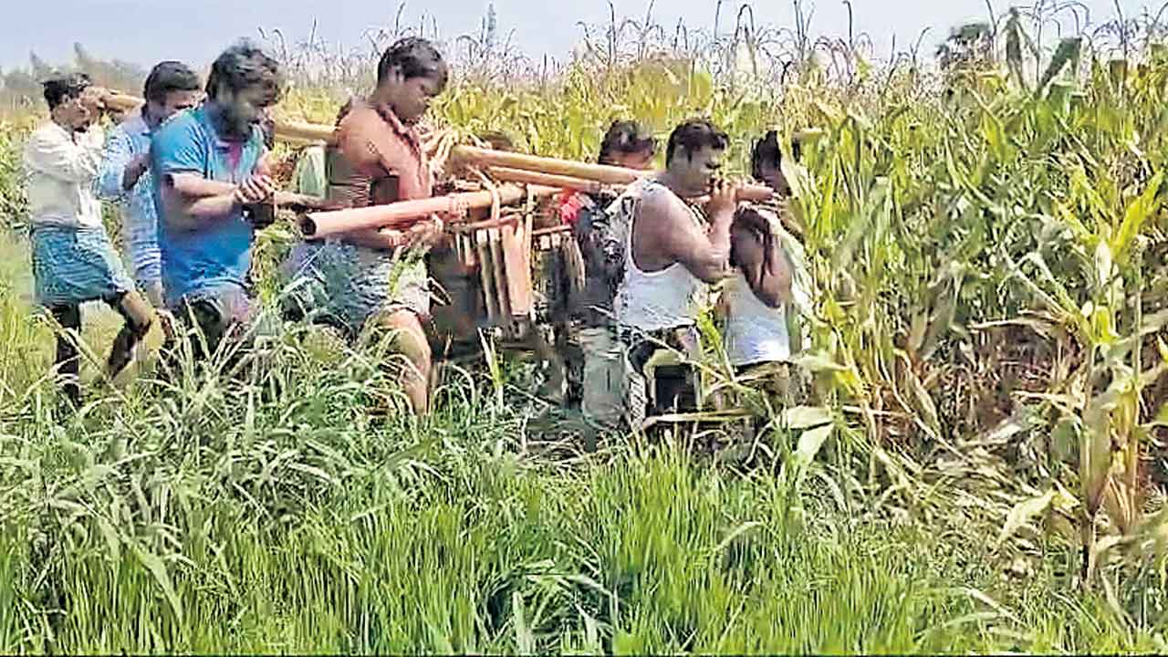 ట్రాన్స్‌ఫార్మర్‌ కష్టాలు