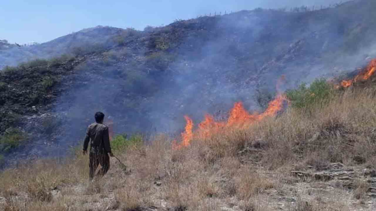 అడవిలో అగ్ని ప్రమాదం