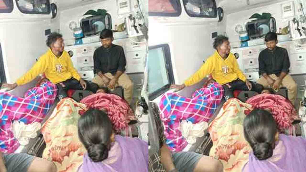 Wild Boar Attack | అడవి పందుల దాడిలో ఇద్దరికి గాయాలు