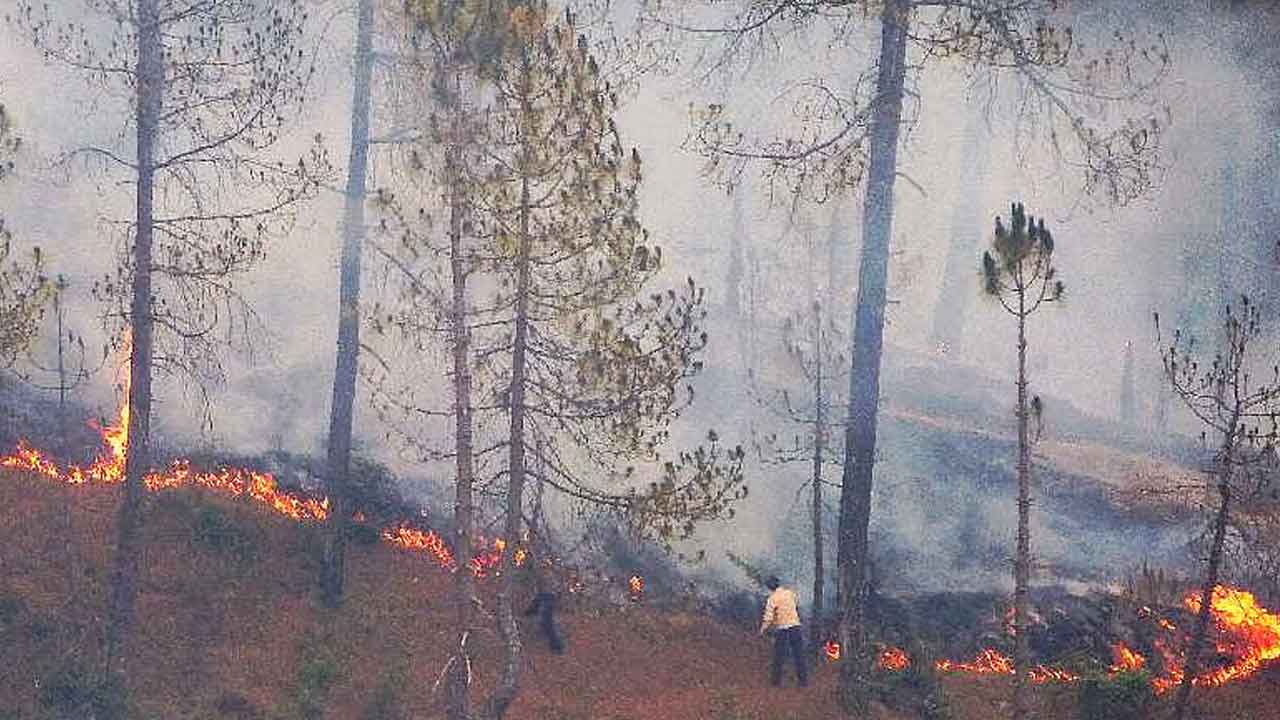 వేసవికి ముందే అడవుల్లో కార్చిచ్చులు