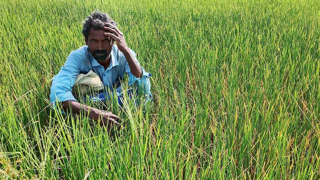 అడుగంటిన భూగర్భ జలాలు.. అ(వ)రిగోస పడుతున్న అన్నదాతలు