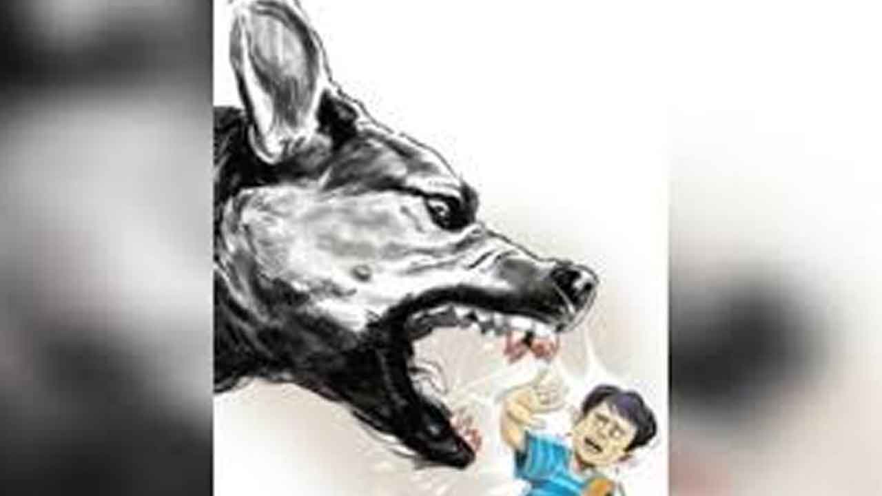 కుక్క దాడిలో గురుకుల విద్యార్థినికి తీవ్రగాయాలు