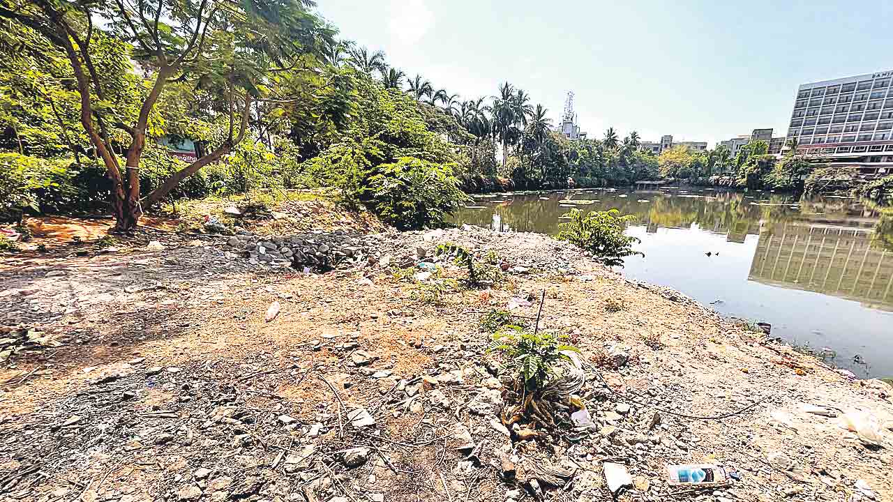 నగరం నడిబొడ్డున చెరువును పూడ్చేసి..