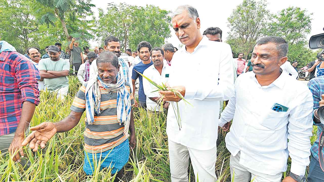 కాంగ్రెస్‌ పాలన రైతులకు శాపం