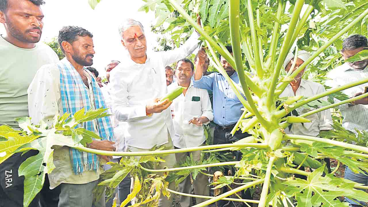 కాంగ్రెస్ పాలన రైతులకు శాపం