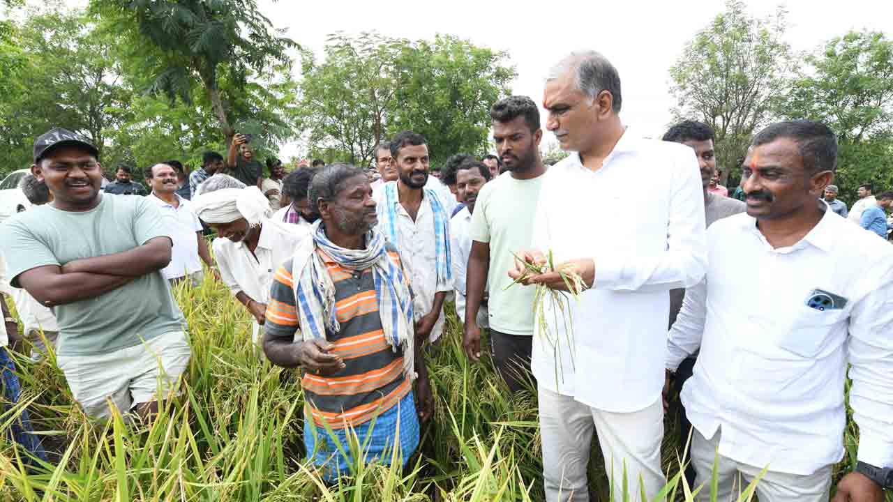 Harish Rao | కాలం తెచ్చిన కరువు కాదు.. కాంగ్రెస్‌ తెచ్చిన కరువు.. పంటల నష్టంపై హరీశ్‌ రావు