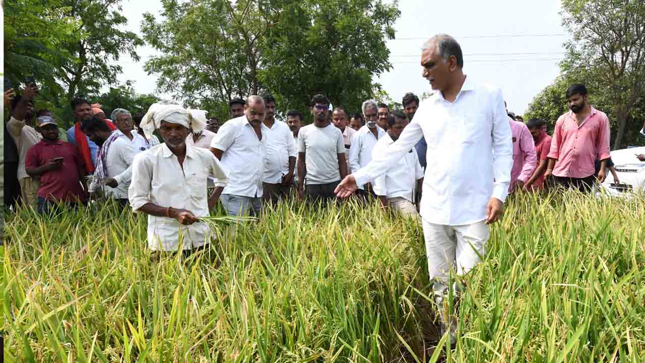 Harish Rao Y