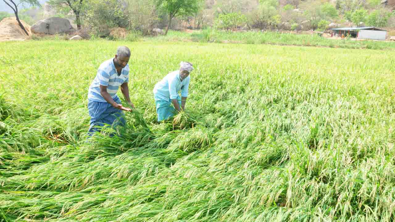 వడ కడ గండ్లు