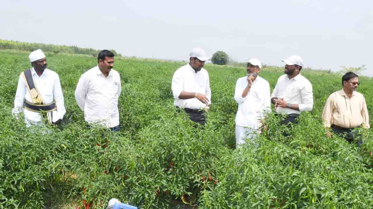 సేంద్రియ సాగులో మెళకువలు నేర్చుకోవాలి