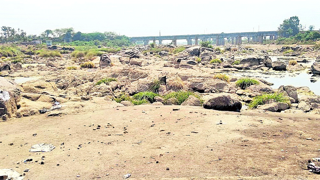 Pakala | రాళ్లు తేలిన పాకాల ఏరు.. నీరు లేక ఎండుతున్న యాసంగి పంటలు!