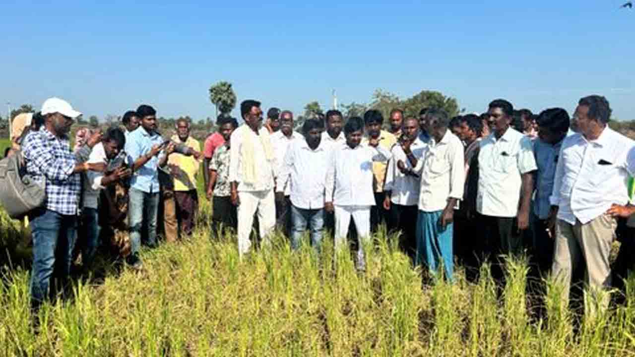 Jagadish Reddy1