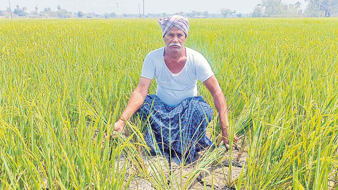 రేవంత్రెడ్డి.. రైతులకు చేసిన మేలేం లేదు