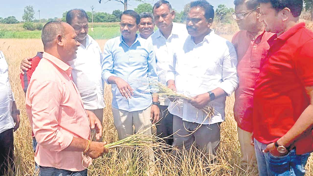 రైతుల గోస పట్టదా..?