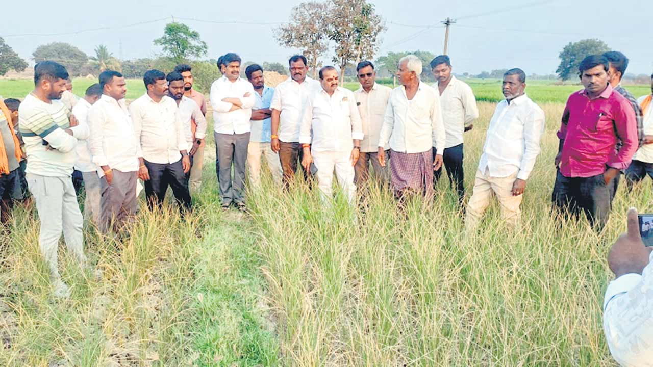 అసమర్థ పాలనతో రైతుల కన్నీరు