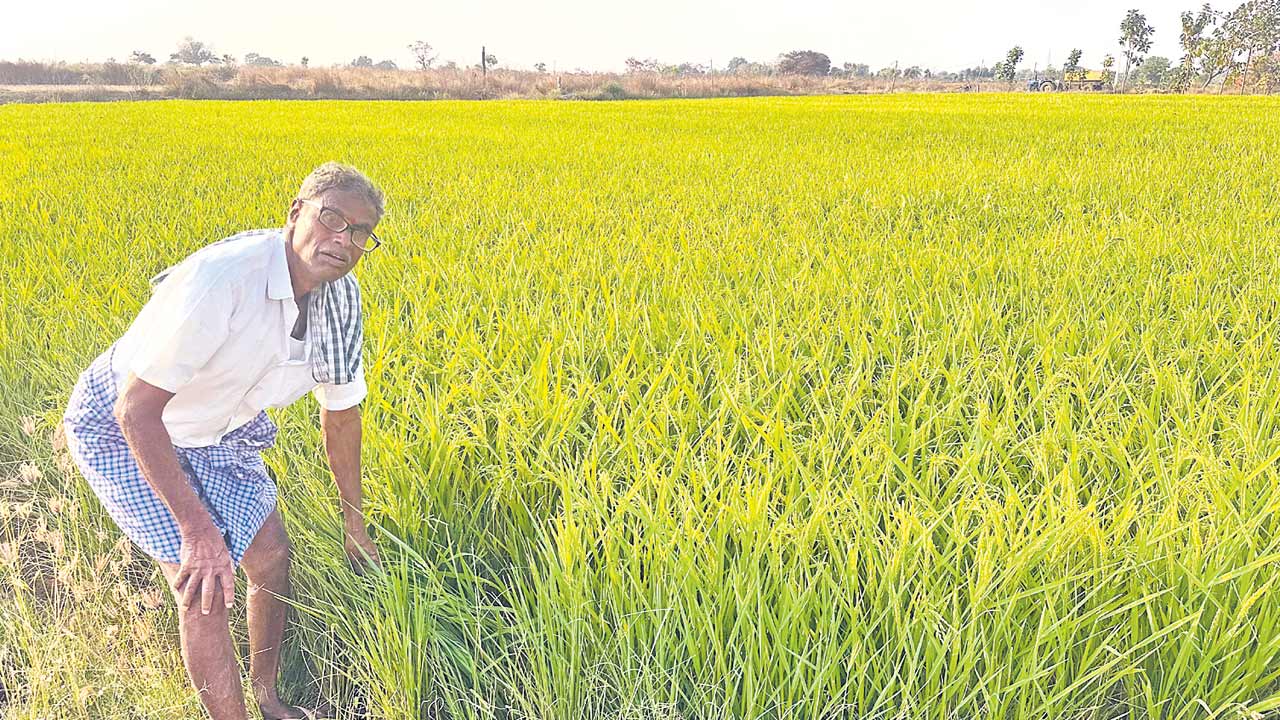 Karimnagar