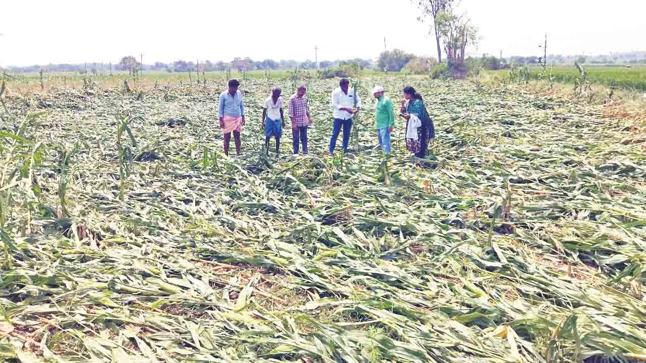 కన్నీళ్లు మిగిల్చిన వడగండ్లు