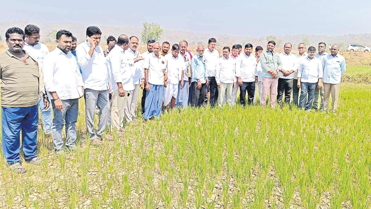 రైతుల పోరాటానికి మద్దతుగా ఉంటాం