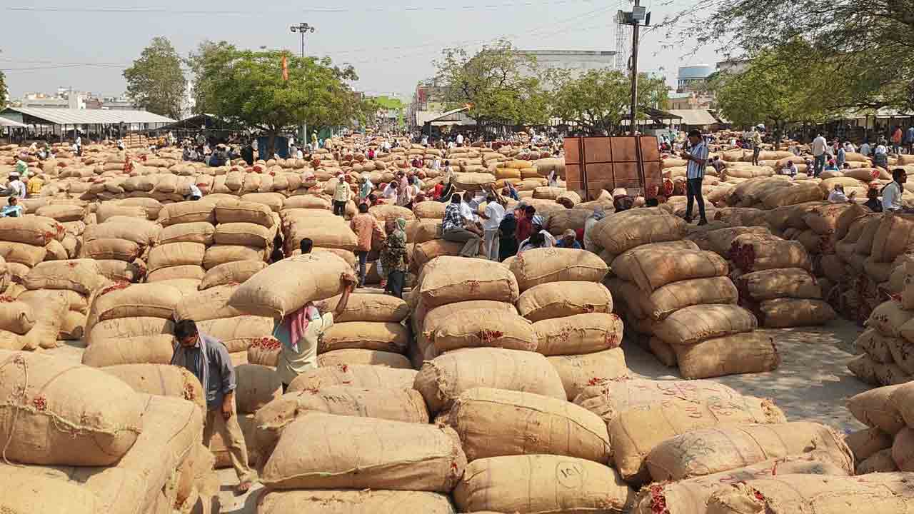 ‘ఎర్ర బంగారం’ ధర పతనం