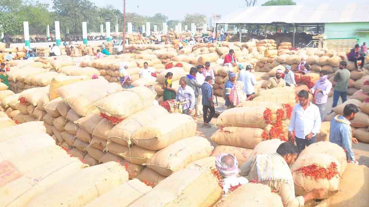 మిర్చిరైతు దగా