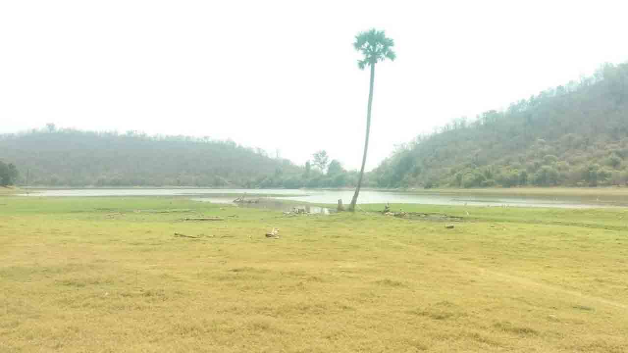 ఎండుతున్న ఏజెన్నీ..!