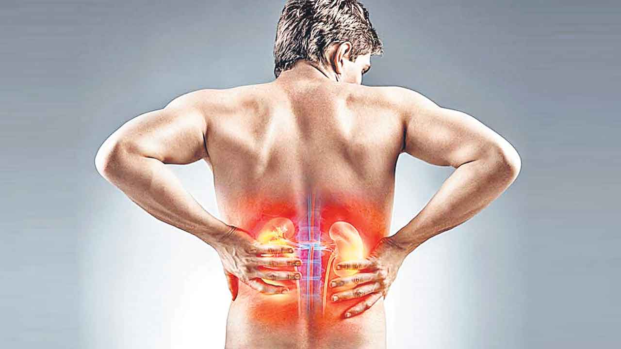 Kidney Disease | కిడ్నీలను దెబ్బతీస్తున్న నిర్లక్ష్యం.. భారీగా పెరుగుతున్న వ్యాధిగ్రస్తులు