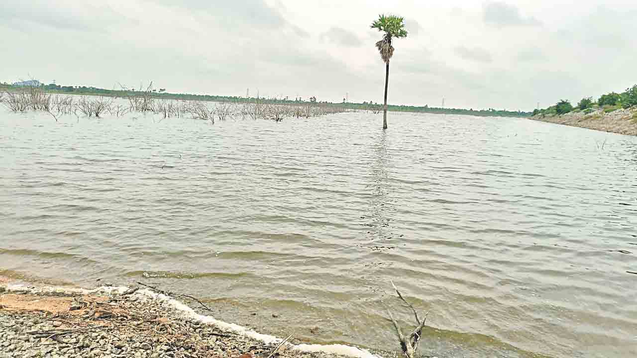 తలాపున రిజర్వాయర్‌ ఉన్నా… ఎండుతున్న పంటలు