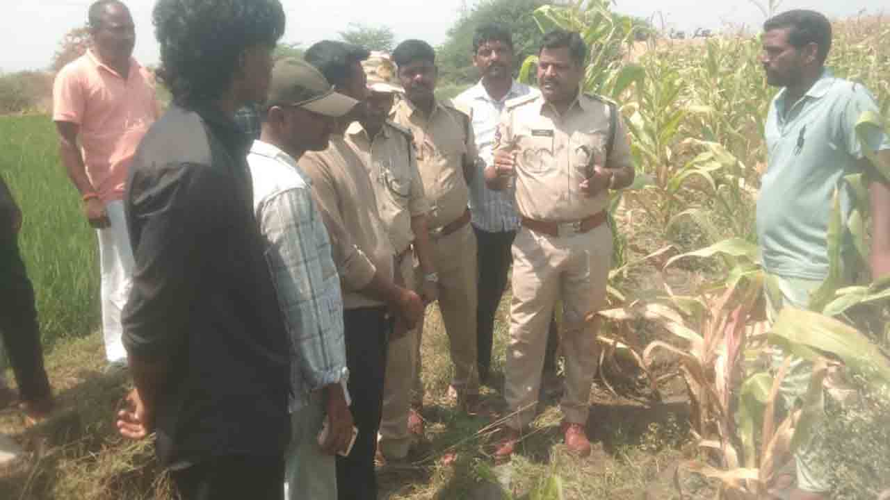 Leopard | చిరుతపులి సంచారంతో భయాందోళనలో ప్రజలు.. అప్రమత్తంగా ఉండాలని అధికారుల సూచన