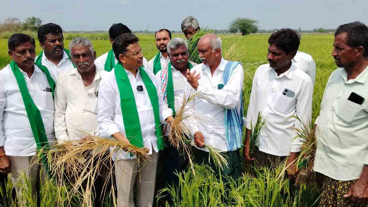 ప్రభుత్వ నిర్లక్ష్యంతోనే ఎండుతున్న పంటలు