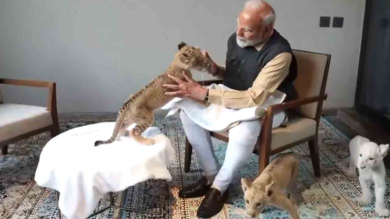 Modi