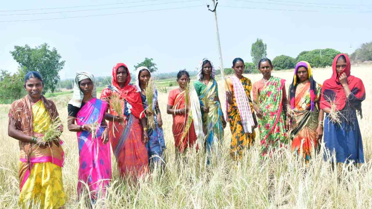 నీరందక నెర్రెలు