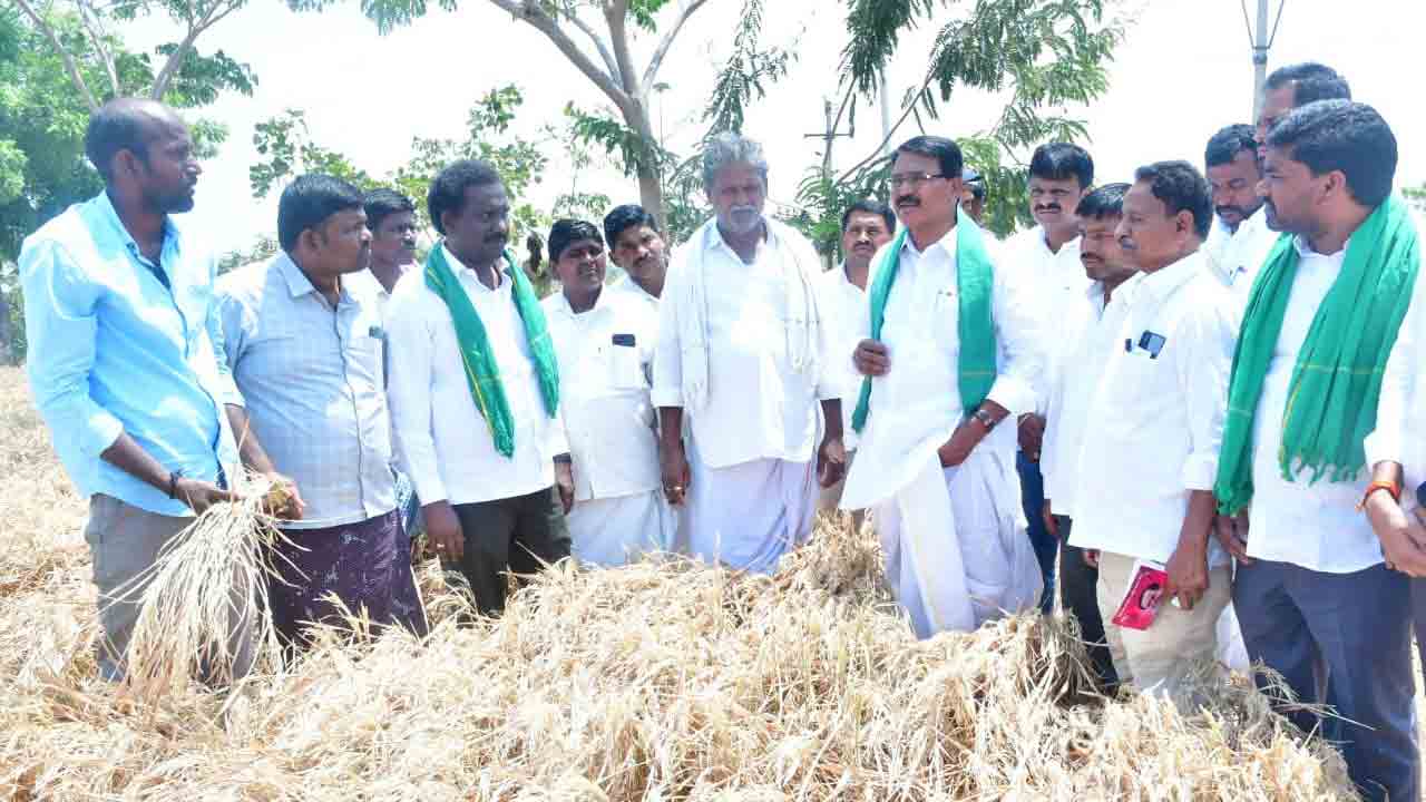 ప్రభుత్వ అసమర్థత వల్లే.. పంటలెండుతున్నాయ్‌..