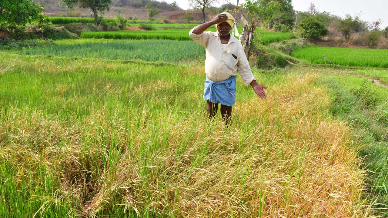 Mahabubnagar2