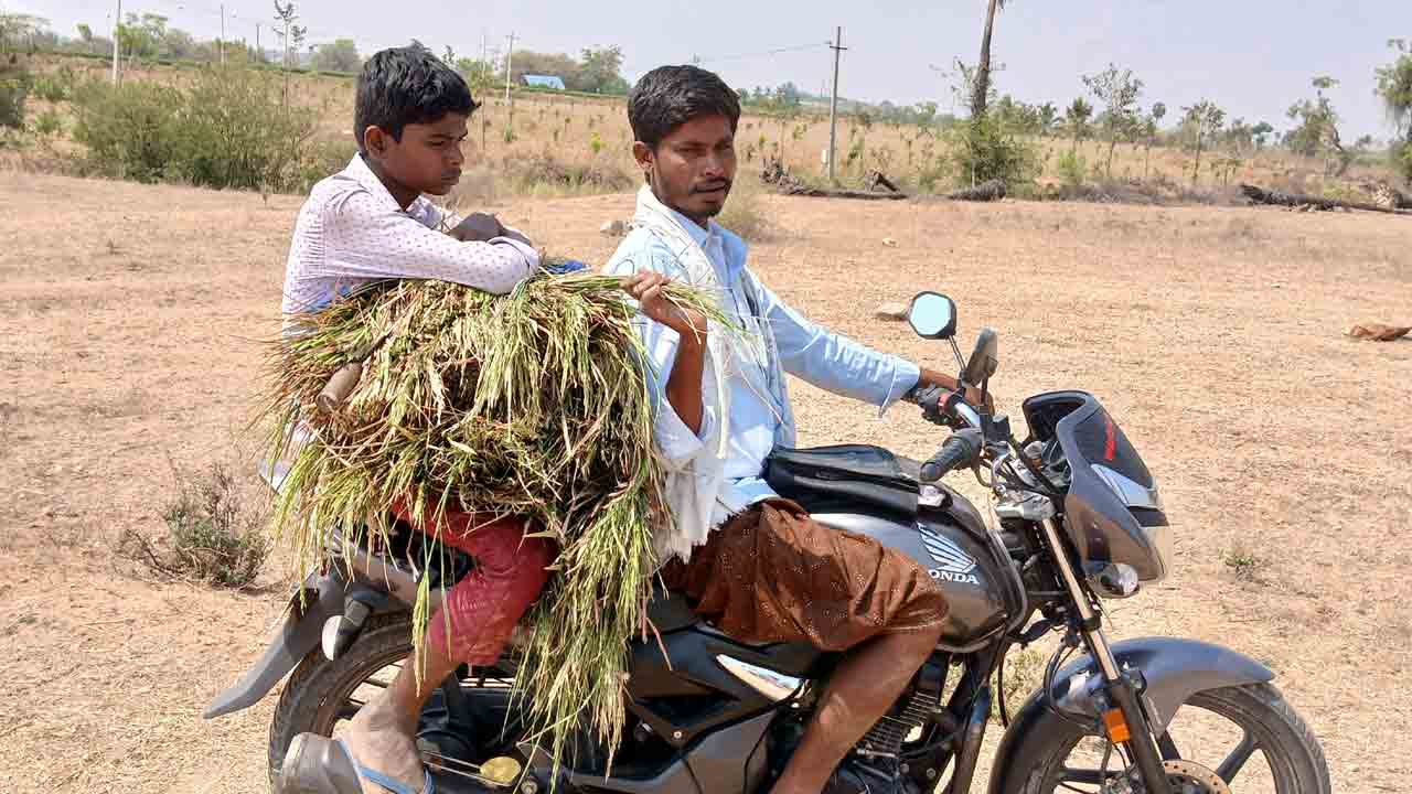 Mahabubnagar2