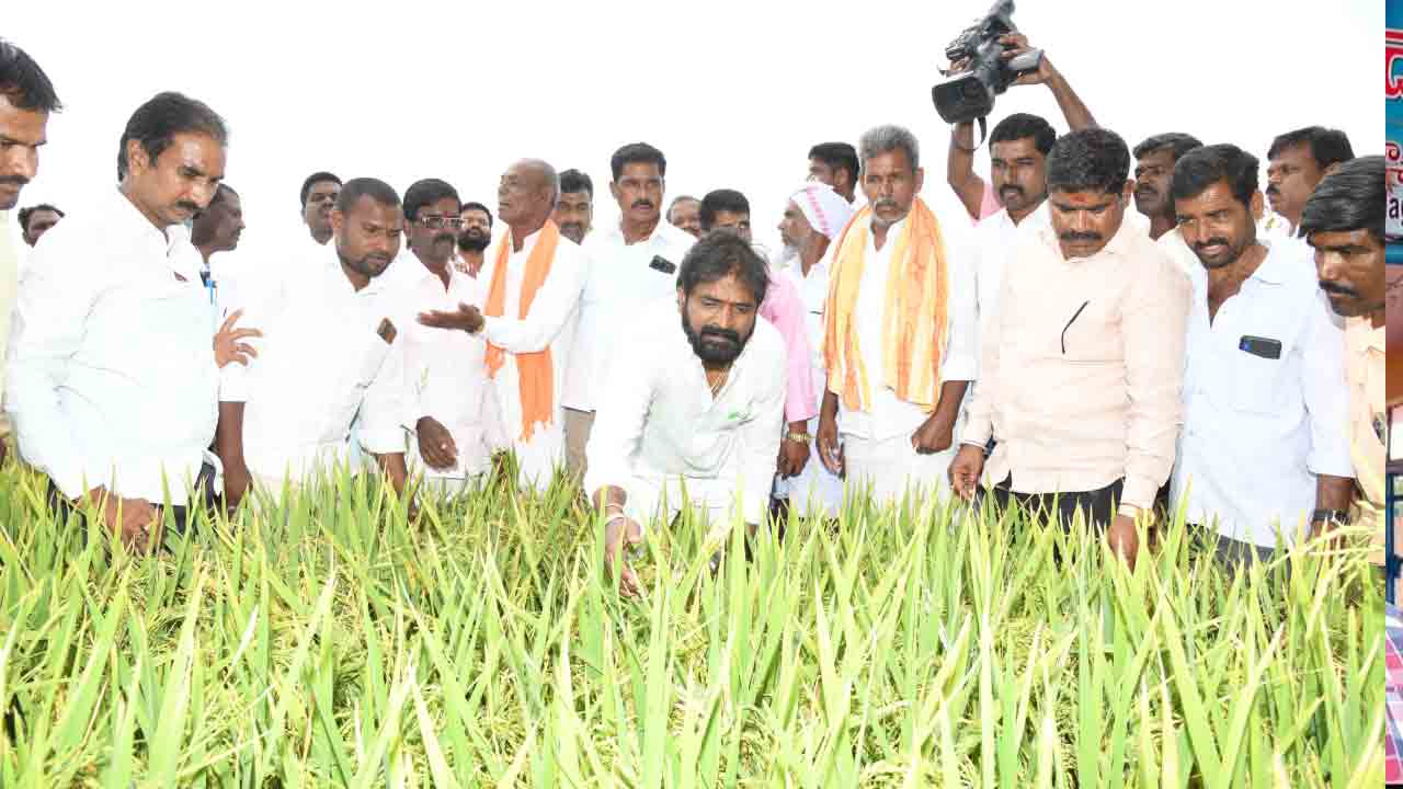 నష్టపరిహారం అందించాలి