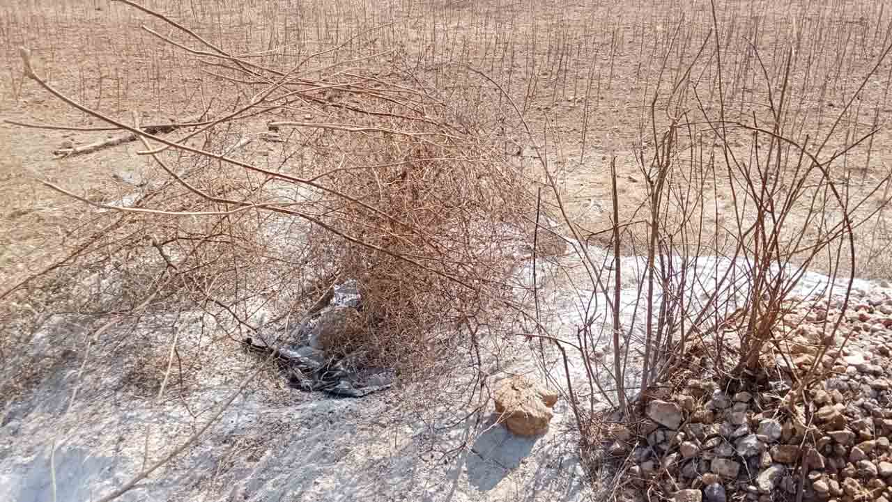 Mahabubnagar3