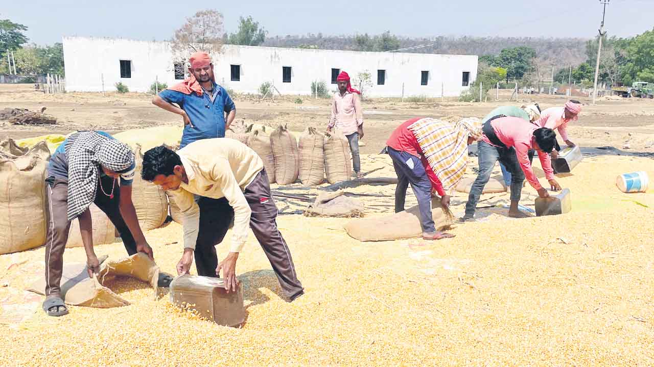 మక్క రైతు దిగాలు.. కొనుగోలు కేంద్రాలు ఏర్పాటు చేయని సర్కారు