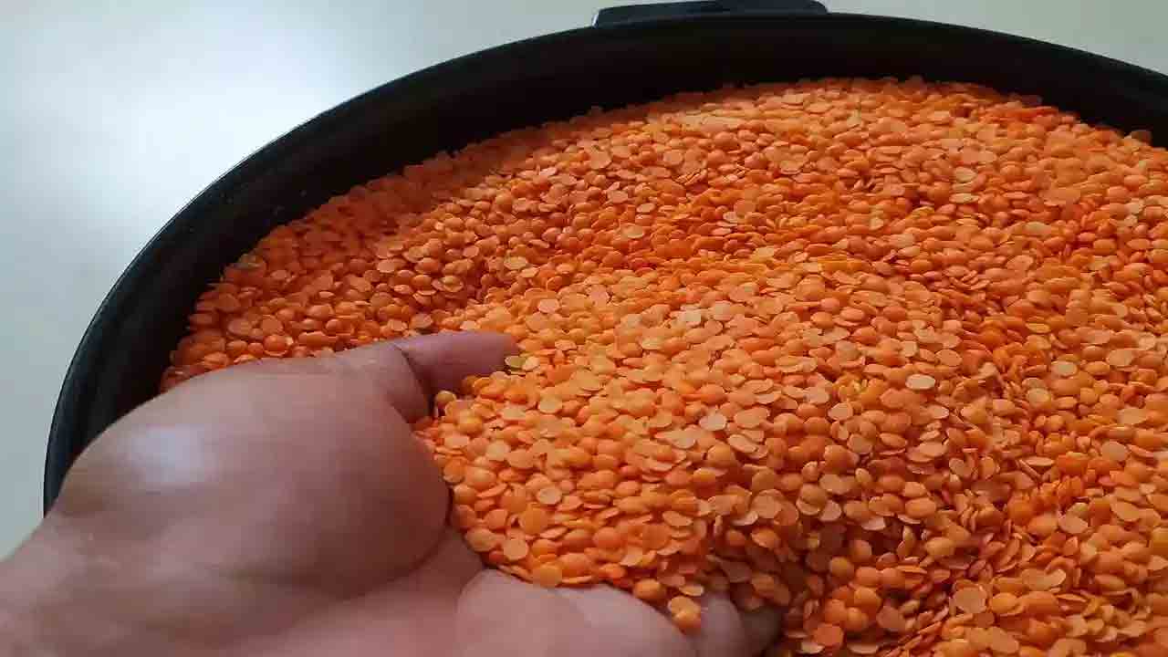 ఎర్ర కంది పప్పుపై 10 శాతం పన్ను