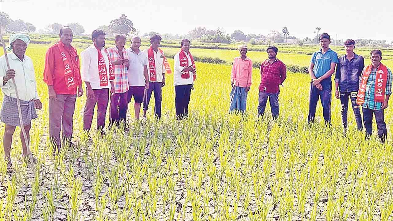 ఎండిన పంటలకు పరిహారం ఇవ్వాలి