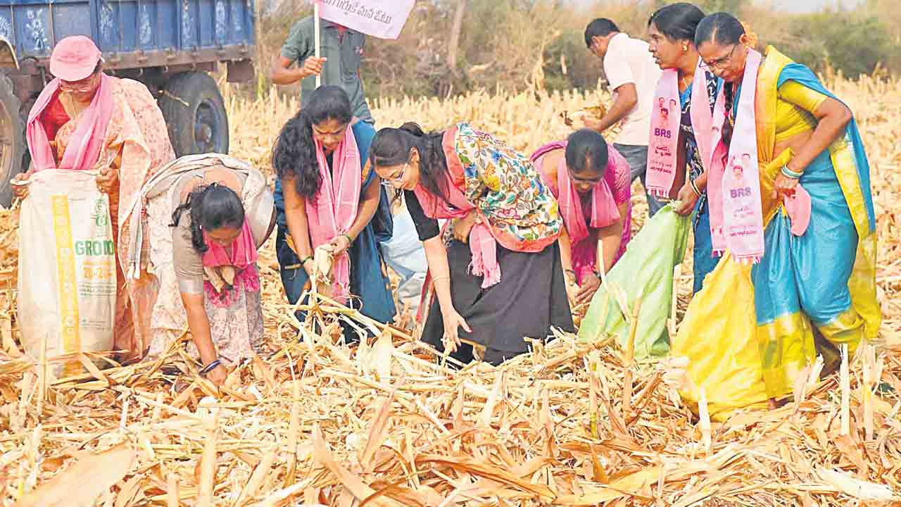 ఆడబిడ్డలకు శతకోటి వందనాలు