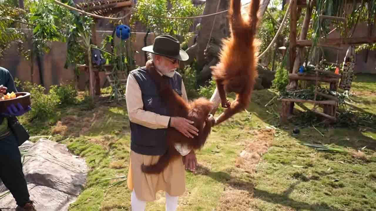 Vantara – Narendra Modi | వంతారా వన్యప్రాణి సంరక్షణ కేంద్రం ప్రారంభించిన ప్రధాని మోదీ..!