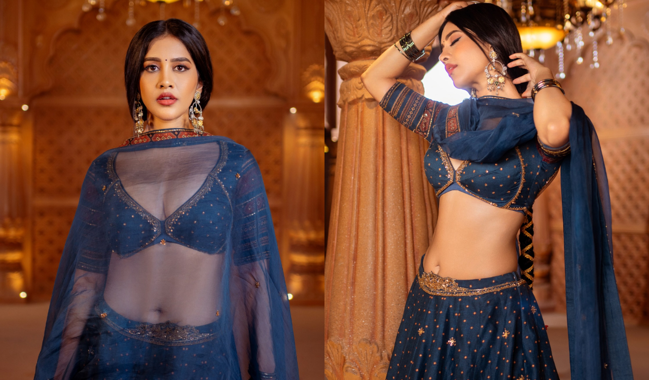 Nabha Natesh | శారీలో క్లీవేజ్ షో నభా నటేశ్ అందాలు అదరహో