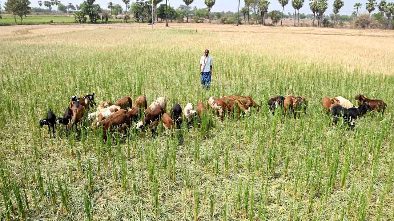 Munugodu | బోరుమంటున్న బోడంగిపర్తి.. భూగర్భజలాలు అడుగంటి వట్టిపోతున్న బోర్లు